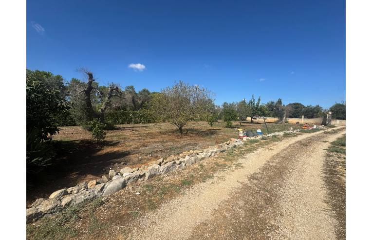 immagine annuncio 4 di 7