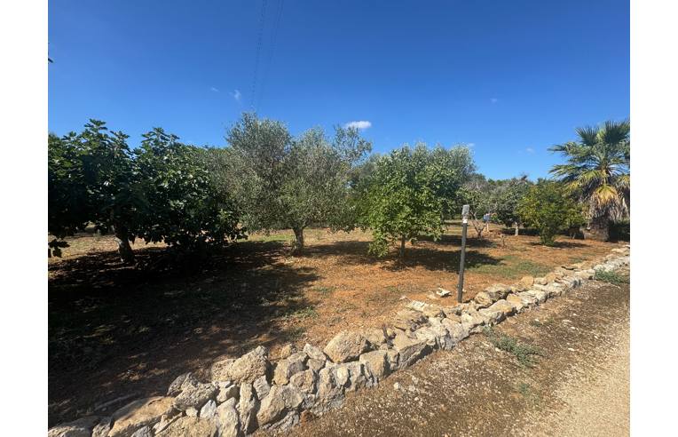 immagine annuncio 6 di 7