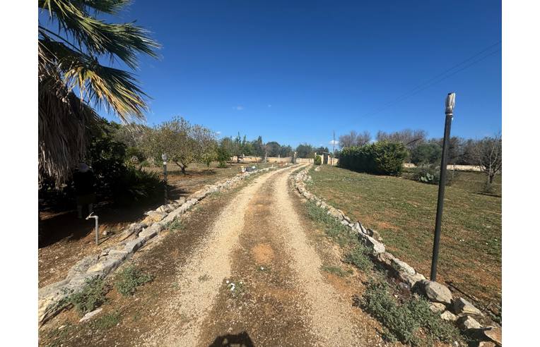 immagine annuncio 5 di 7