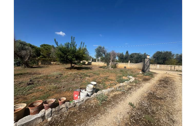 immagine annuncio 2 di 7