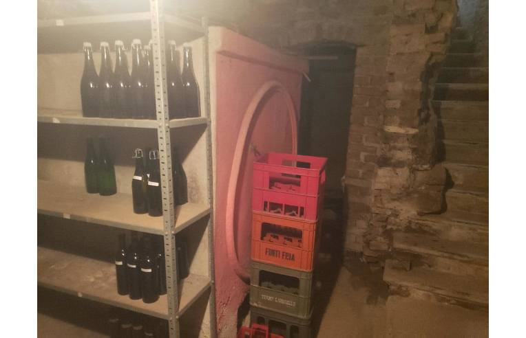 immagine annuncio 6 di 7