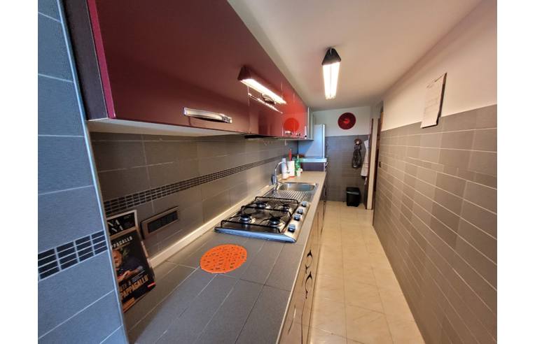 immagine annuncio 4 di 7