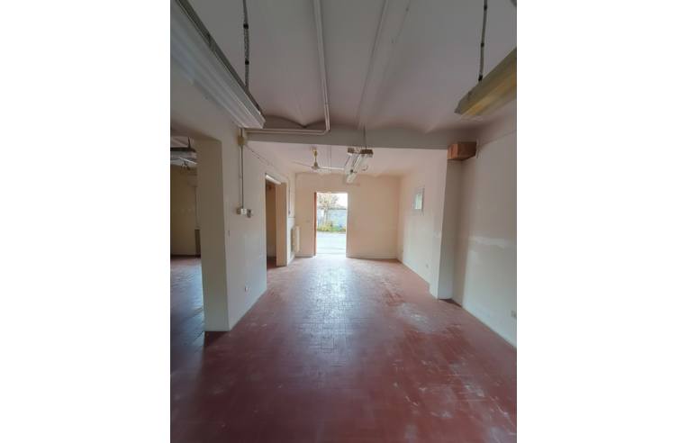 immagine annuncio 2 di 7