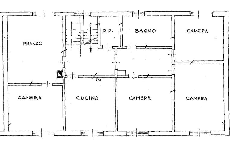 immagine annuncio 5 di 7