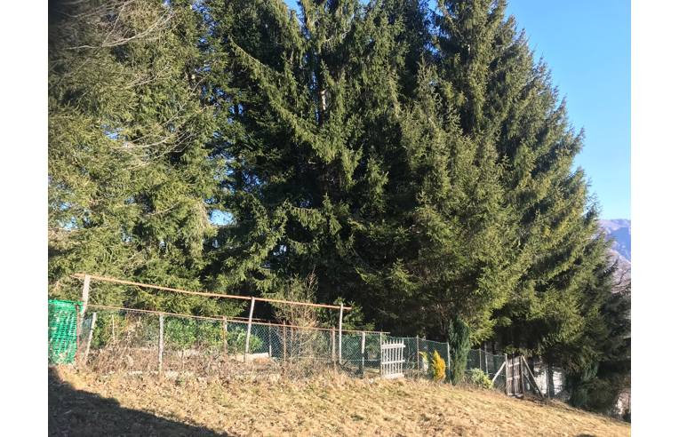 immagine annuncio 6 di 7