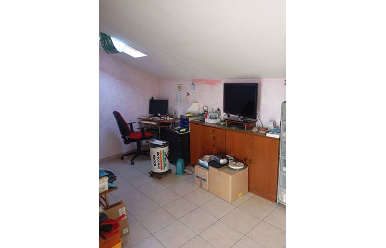 immagine annuncio 6 di 7