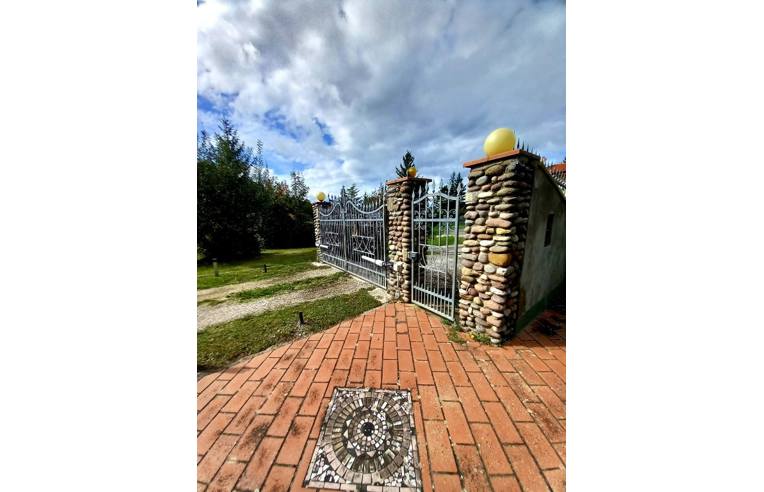 immagine annuncio 2 di 7