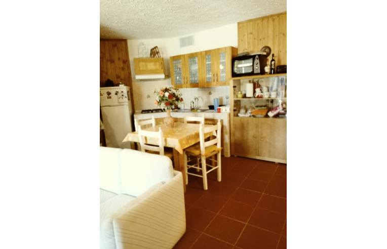 immagine annuncio 4 di 6