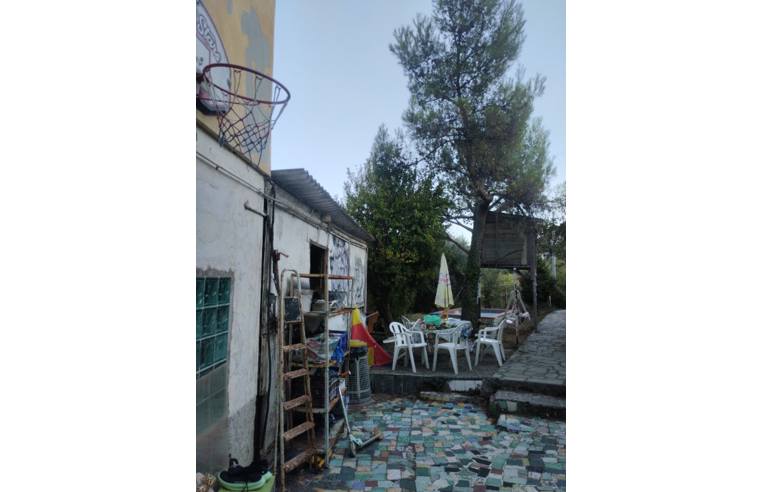 immagine annuncio 4 di 7