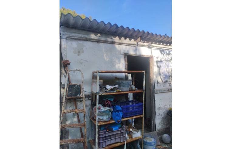 immagine annuncio 3 di 7