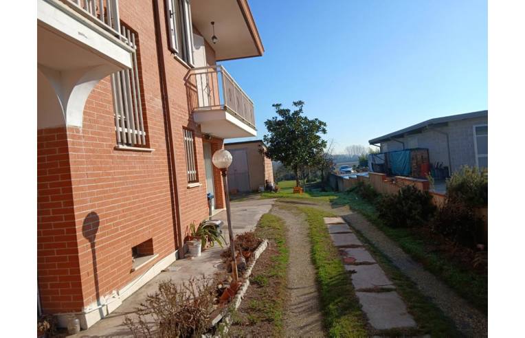 immagine annuncio 4 di 7