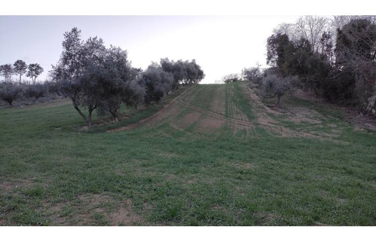 immagine annuncio 2 di 7