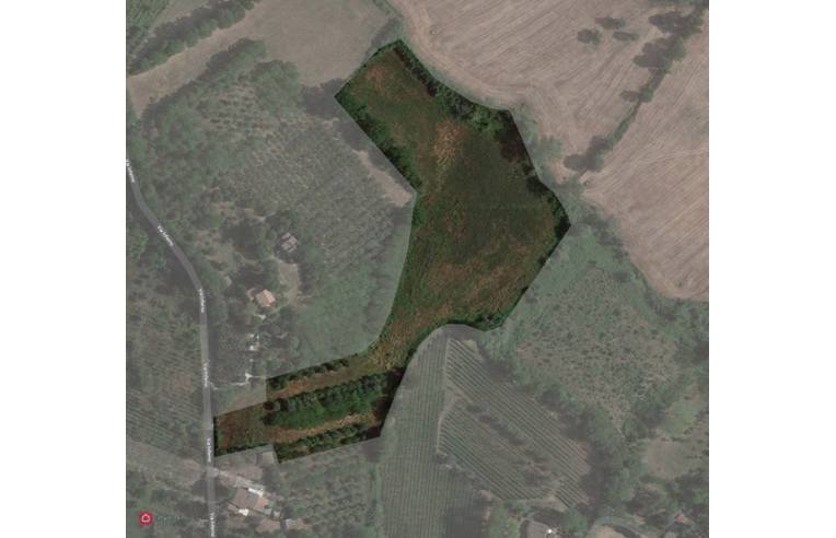 immagine annuncio 6 di 7