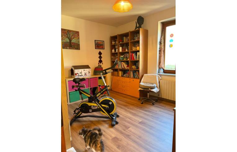 immagine annuncio 4 di 7