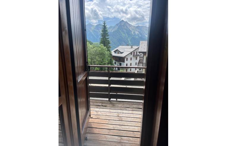 immagine annuncio 4 di 6