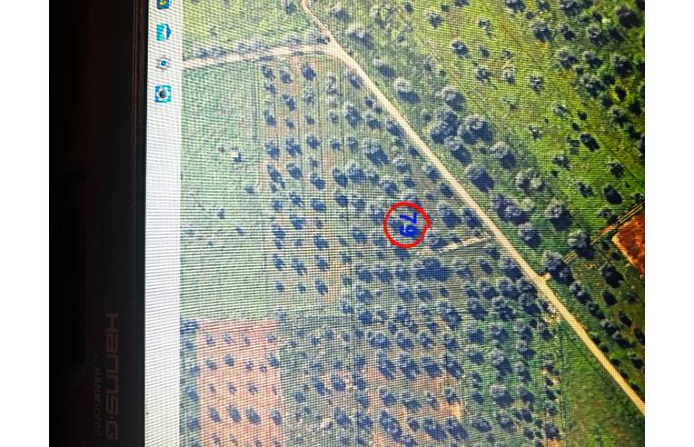 immagine annuncio 1 di 2