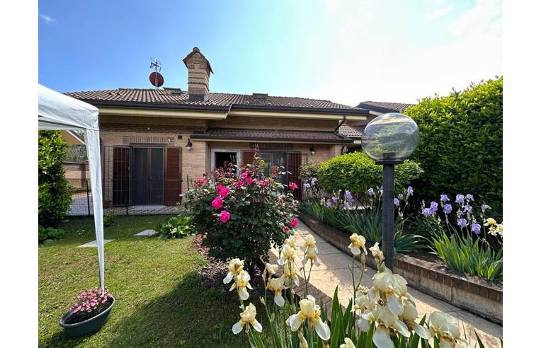 immagine annuncio 2 di 6