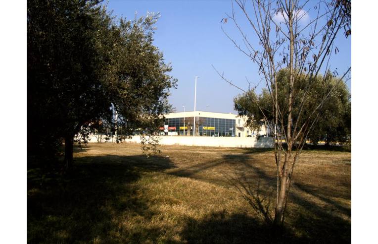 immagine annuncio 2 di 4