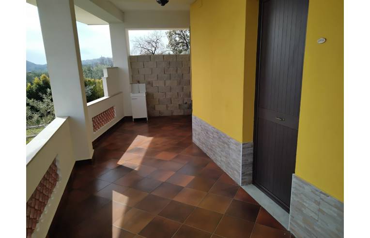 immagine annuncio 2 di 6