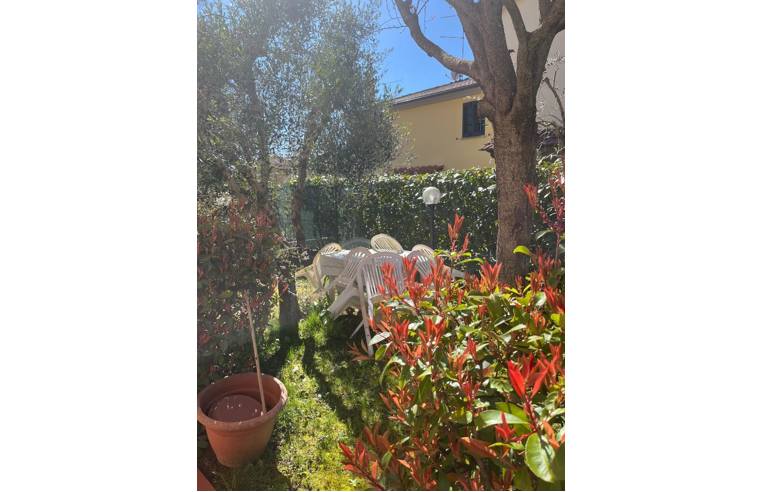 immagine annuncio 3 di 6