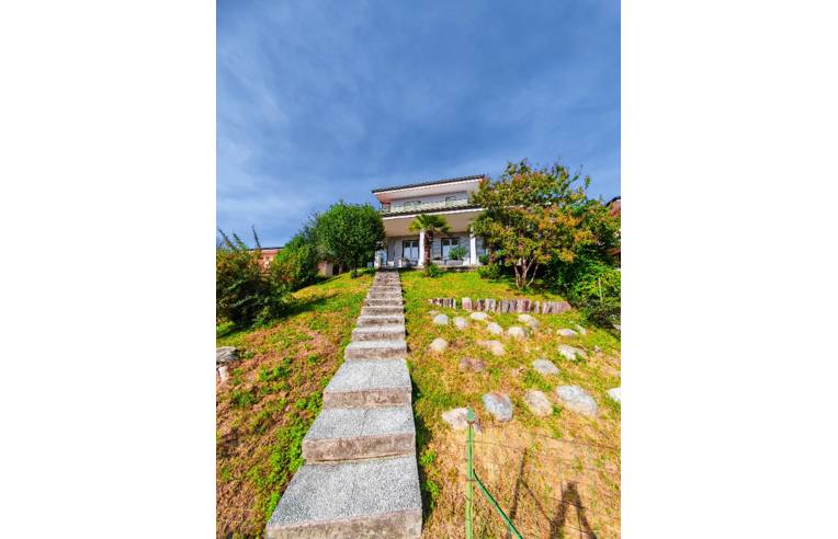 immagine annuncio 1 di 7