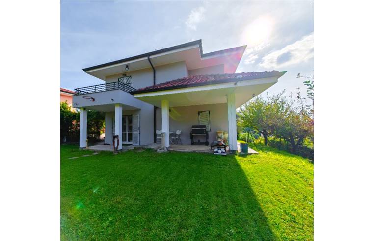 immagine annuncio 2 di 7