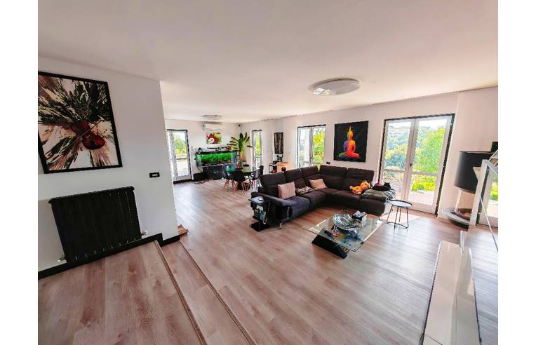 immagine annuncio 4 di 7