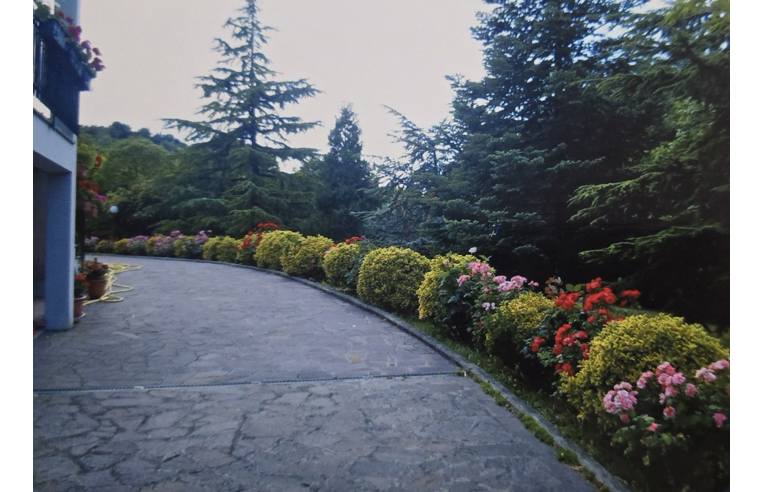 immagine annuncio 5 di 7