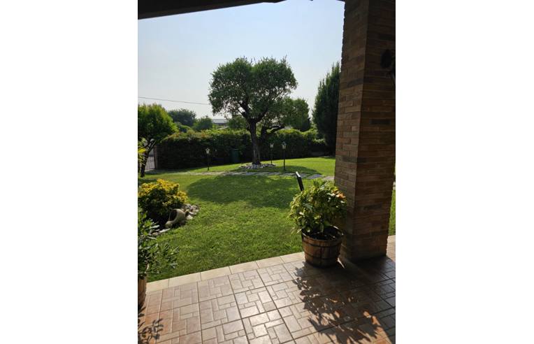 immagine annuncio 2 di 7