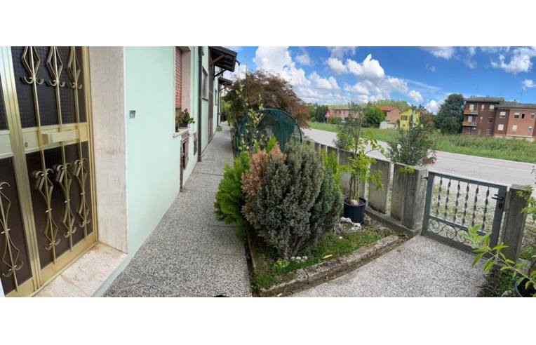 immagine annuncio 2 di 7