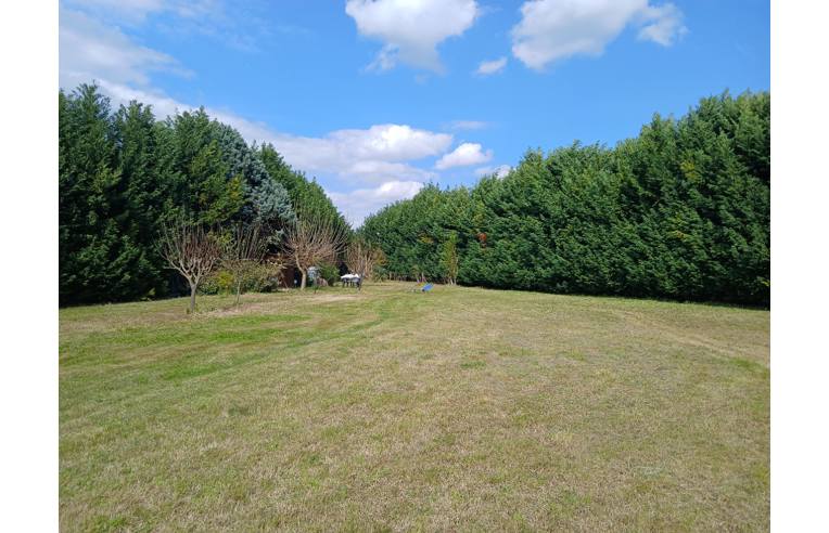 immagine annuncio 3 di 7