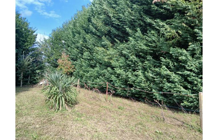 immagine annuncio 5 di 7