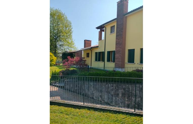 immagine annuncio 3 di 7