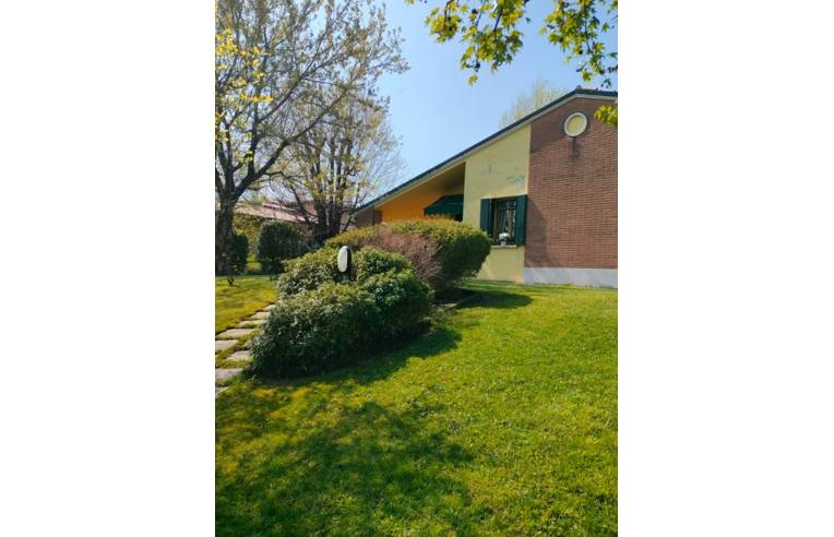 immagine annuncio 1 di 7