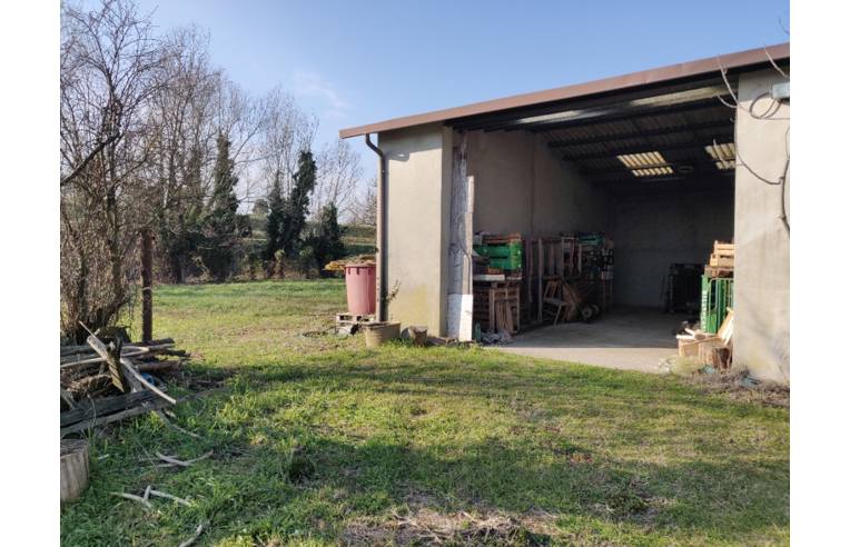 immagine annuncio 5 di 7