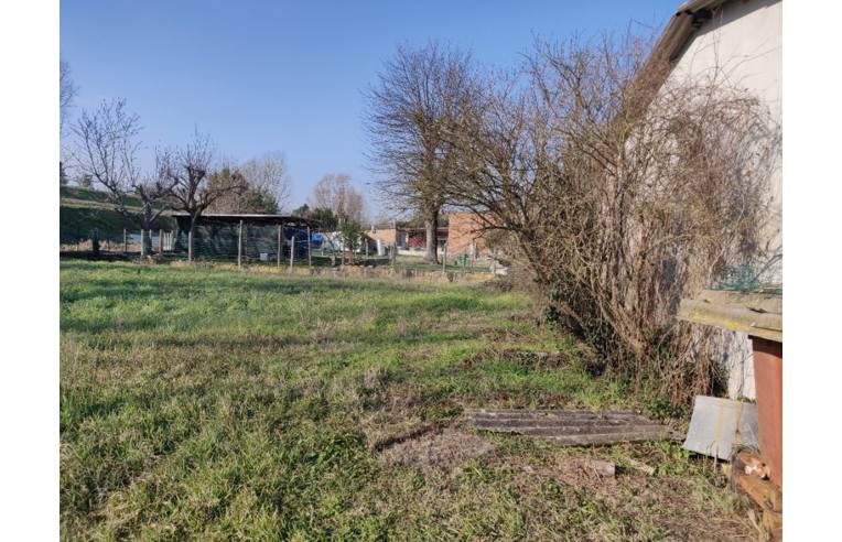 immagine annuncio 3 di 7