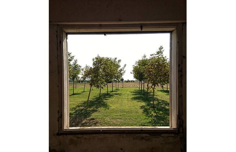 Foto 2 - Rustico/Casale in Vendita da Privato - Badia Polesine, Frazione Villa Fora