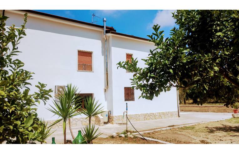 immagine annuncio 4 di 6