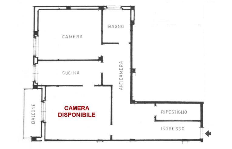 immagine annuncio 5 di 7