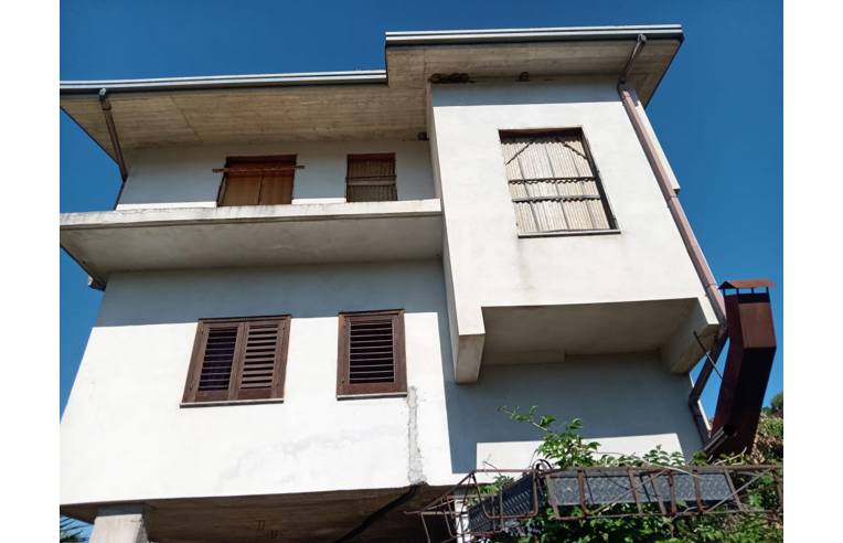 immagine annuncio 1 di 7