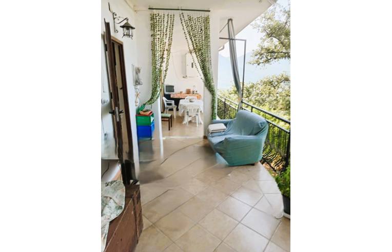 immagine annuncio 2 di 7