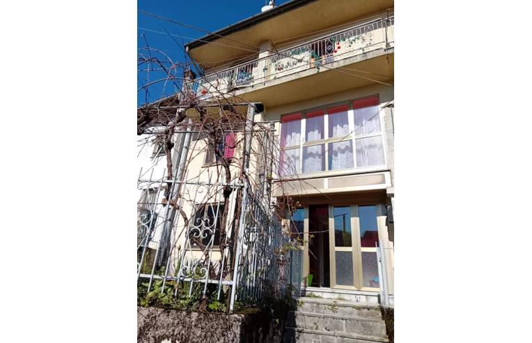 immagine annuncio 2 di 7