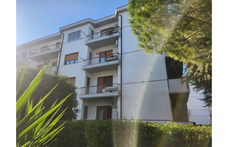 immagine annuncio 5 di 7