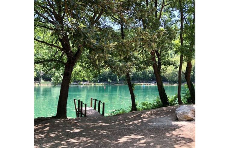 immagine annuncio 6 di 7