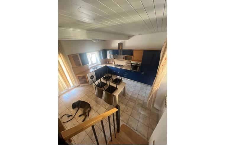 immagine annuncio 2 di 7