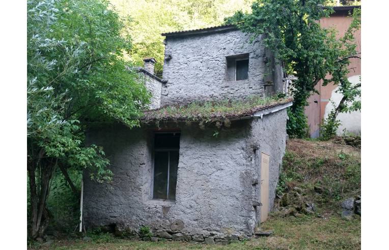 immagine annuncio 2 di 7
