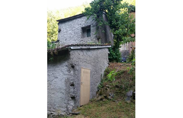 immagine annuncio 1 di 7
