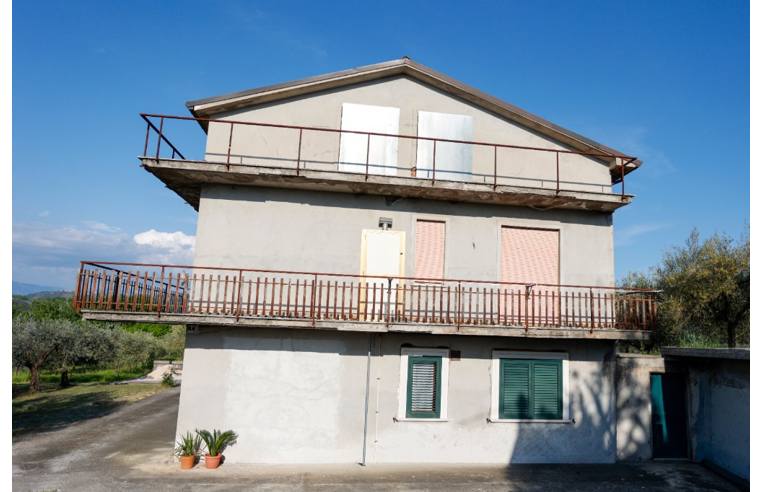 immagine annuncio 4 di 7