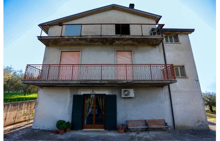 immagine annuncio 1 di 7