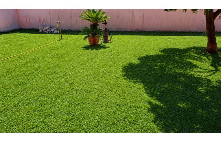 Foto 8